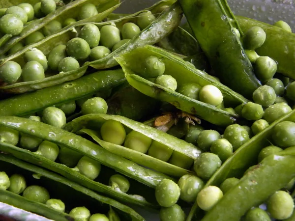Legumes